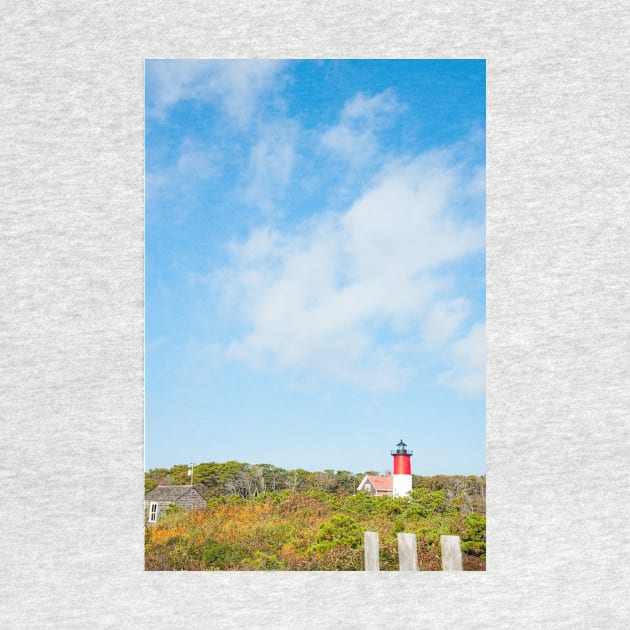 Nauset Beach,  Seashore and lighthouse. Cape Cod, USA.  imagine this on a  card or as wall art fine art canvas or framed print on your wall by brians101